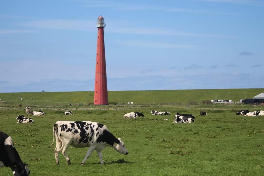 Overnachten Onder De Lange Jaap Den Helder Exterior foto