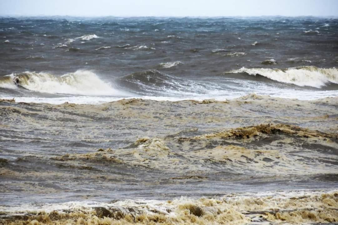 Overnachten Onder De Lange Jaap Den Helder Exterior foto